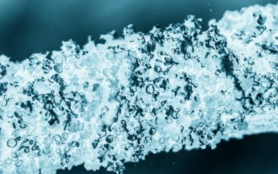 Hyaluronic Acid for Immune System Support