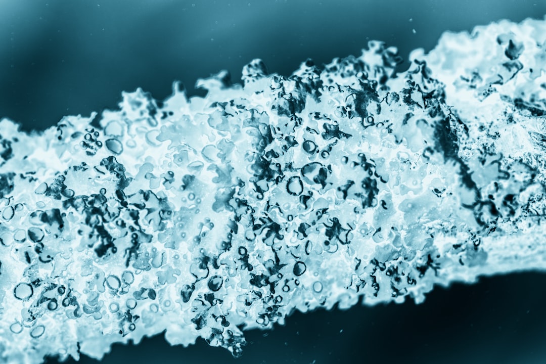 Photo Hyaluronic Acid